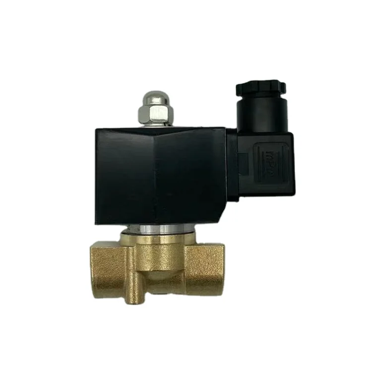 

24V AC 220V Normally Closed Valves 2W-040-10 Direct-acting solenoid valve Water valve