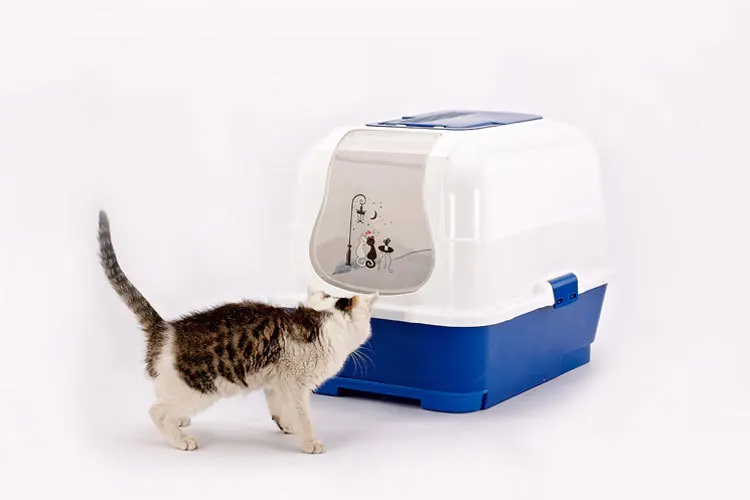 Totally Enclosed Isolated Outdoor Plastic Cat Toilet With Cat Sand