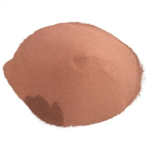 Image of artemia cysts shrimp feed brine shrimp eggs