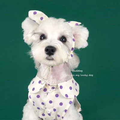 

Cute pet dog princess dress clothes Summer thin clothing pets Costumes
