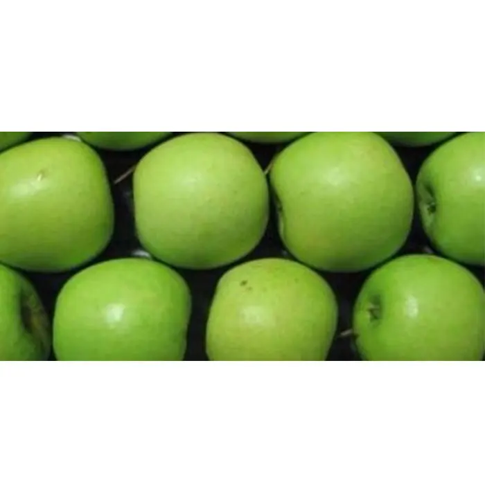 
High Quality Fresh GREEN Golden Delicious Apples foe Wholesale 