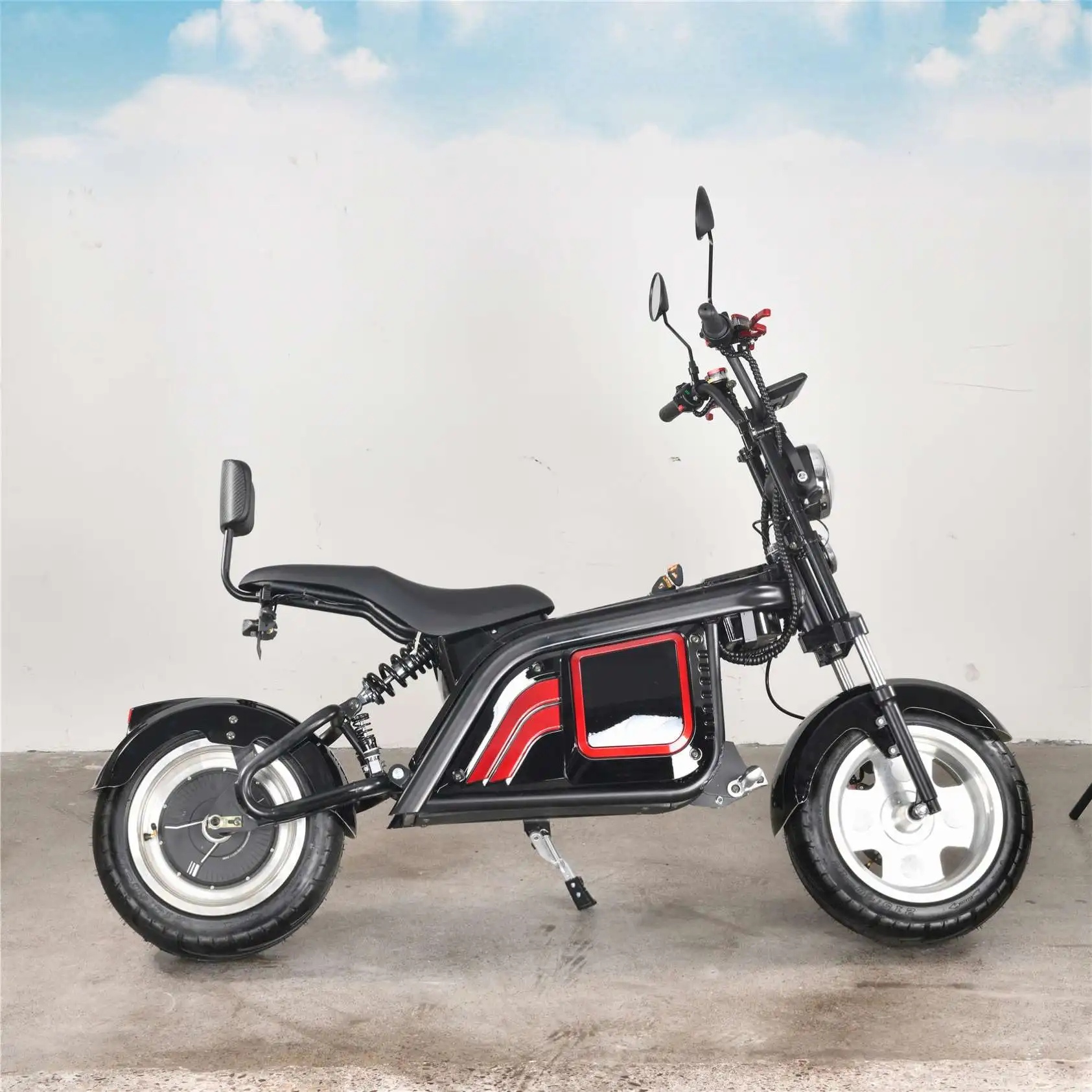 

New Citycoco Electric Scooter Accessories Lithium Battery 20Ah 30Ah Battery For Citycoco In EU Holland Warehouse