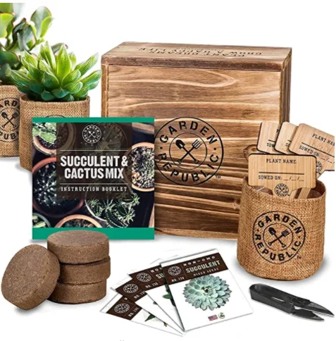 

Amazon Hot selling DIY Cactus Succulent Sed Starter Kit Indoor Garden Grow Kits for Gardening Gifts