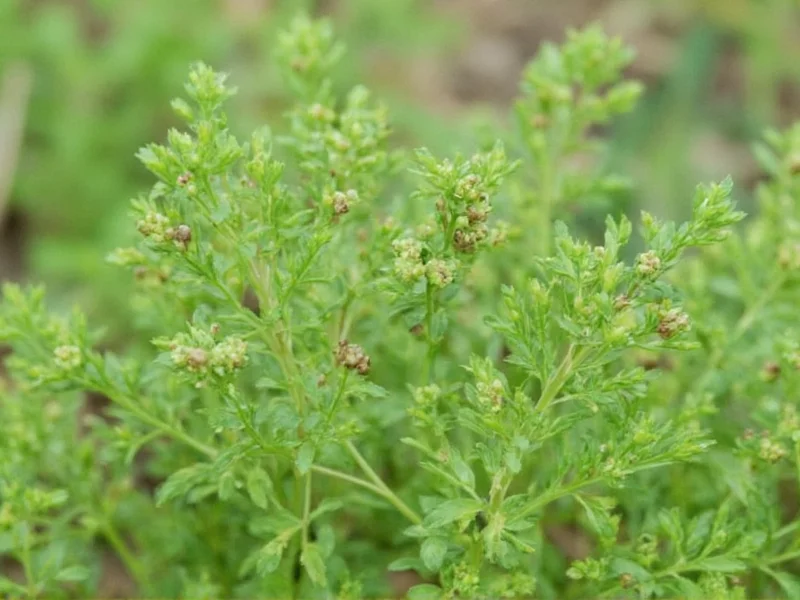 Best Dill Weed Substitutes: Practical Replacements Guide