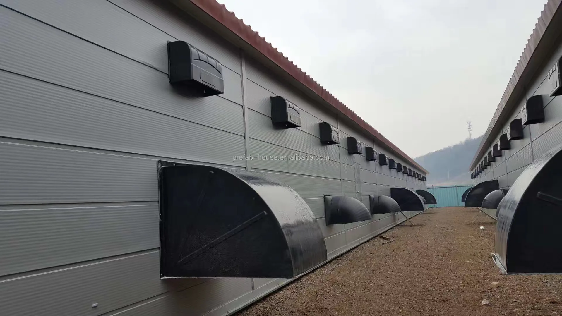 Steel poultry house for 10000 chickens with competitive price