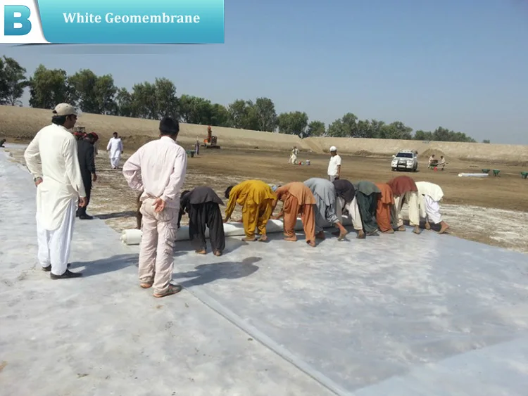 ASTM HDPE Geomembrane Dam Liner for Sale.jpg