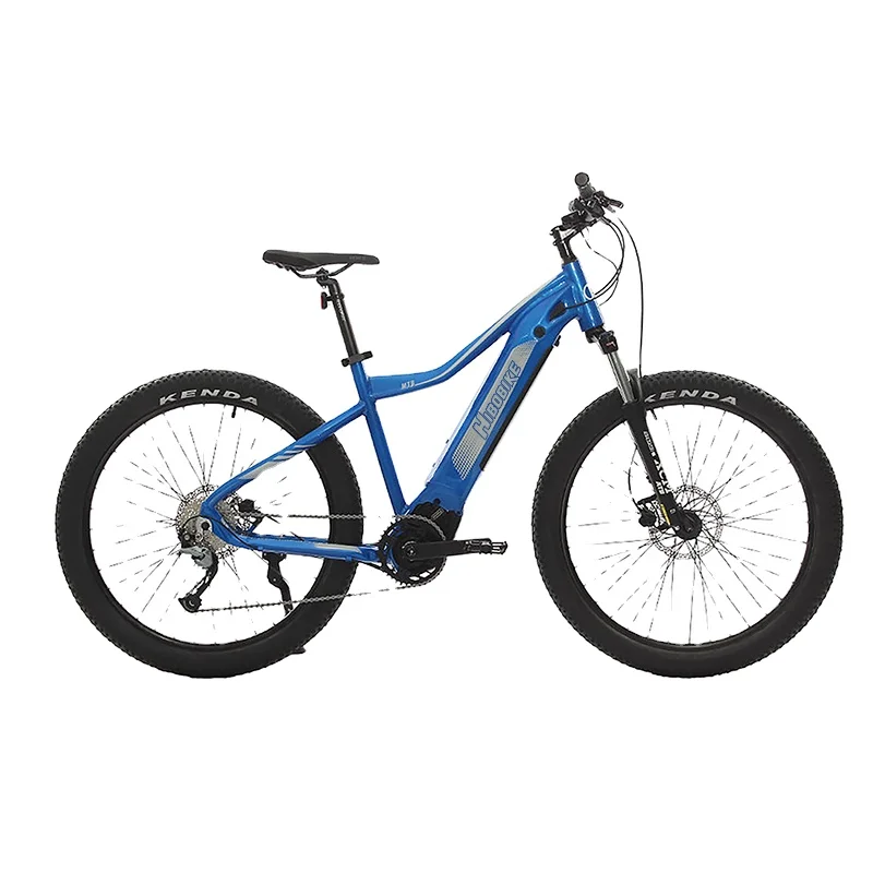 

Dual Suspension Electric Fat Bike Bafang M600 MID Drive MTB Ebike