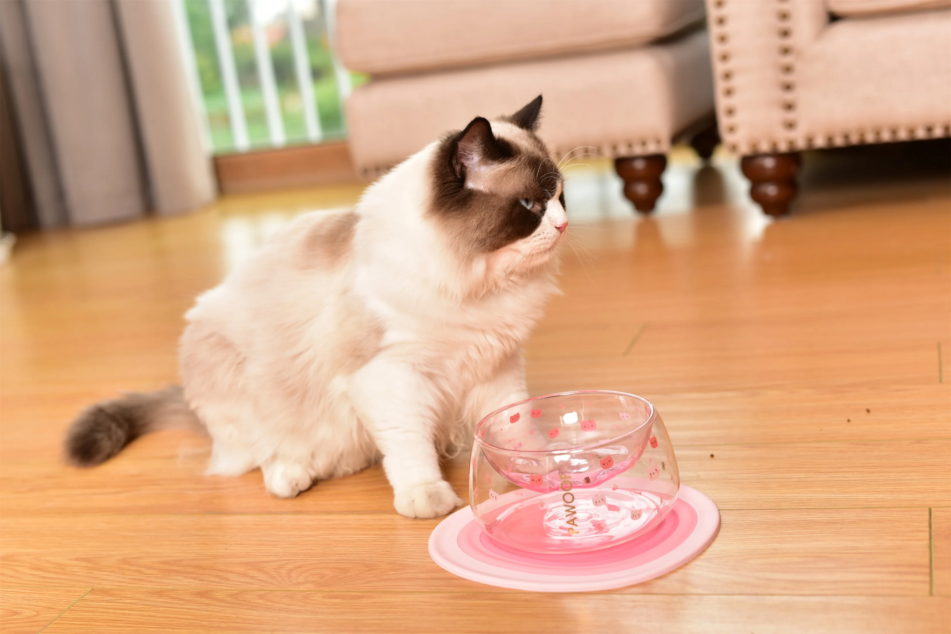 Anti-slip pet feeding mat waterproof cat feeding placemat – PAWOOF