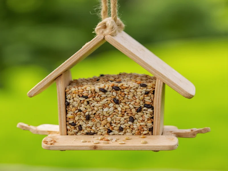 Handmade popsicle stick bird feeder with seeds
