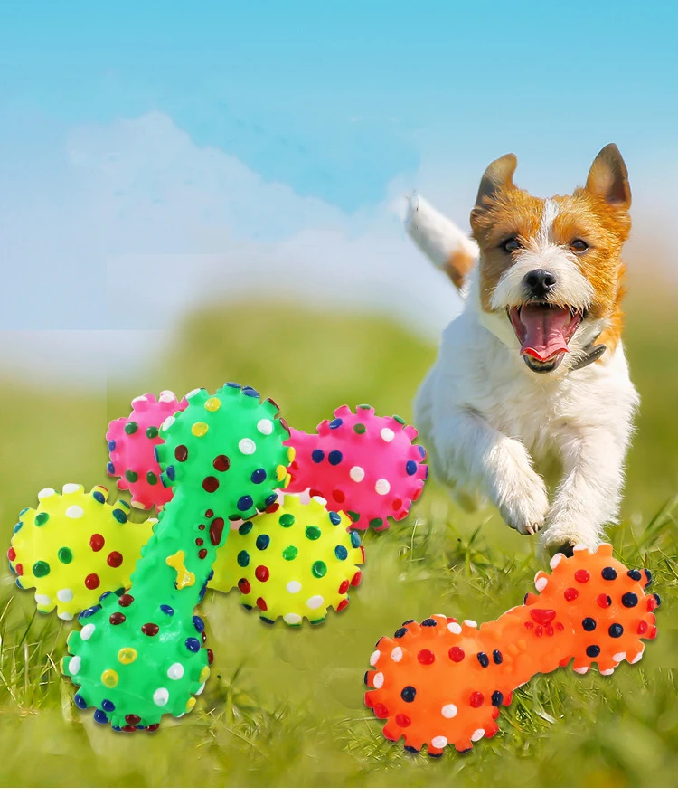 

Manufacturer wholesale mixed color squeaky dog vinyl toys, Mix color