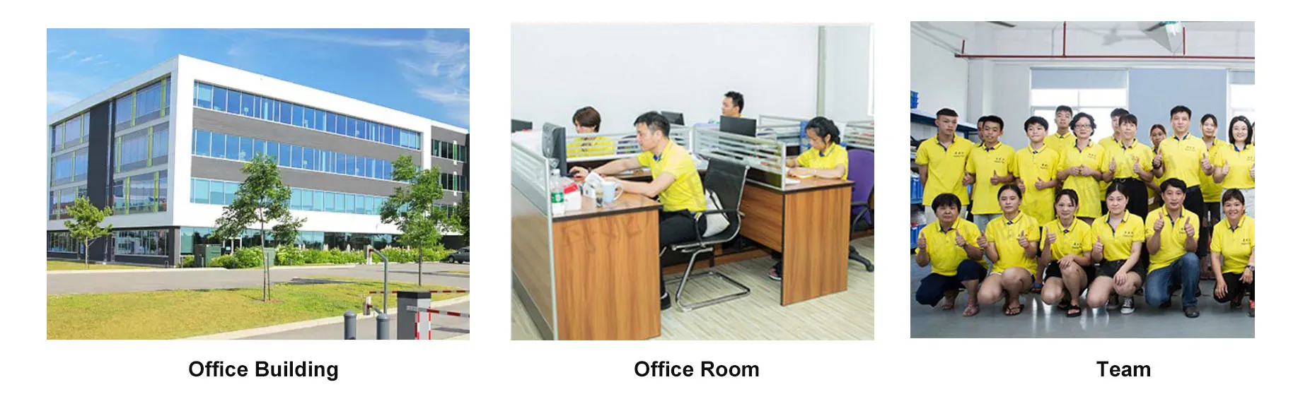 Company Introduction.jpg