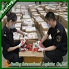 China SeeHog customs clearance products