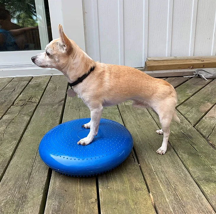 

Dog Balance Disc Cushion Dog rehab Exercise Strength Endurance Conditioning Fitness Pet Rehabilitation Center Accessories