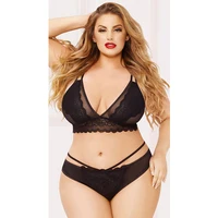 

Plus size lace stitching Wholesale Lace Temptation Bralette Big Ladies underwear bra Transparent Bra Panty Set