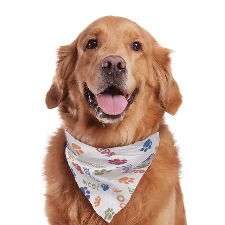 puppy bandanna