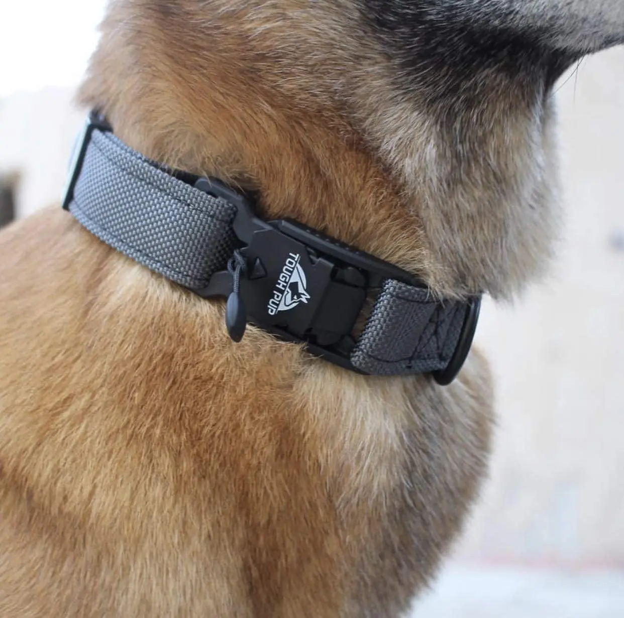 Tactical Dog Collar Adjustable Heavy Dog Collar Quick Release