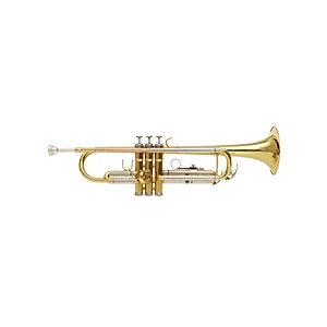 Brass Instruments & accessories - Category Image