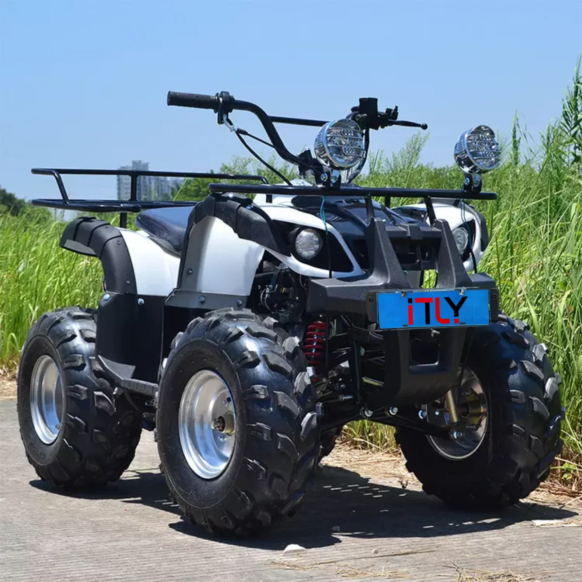 Квадрацыкал. Квадроцикл atv 200 cc. 250 Cc atv 4x4. Квадрики АТВ 150cc. Atv 110cc квадроцикл снегоболотоход.