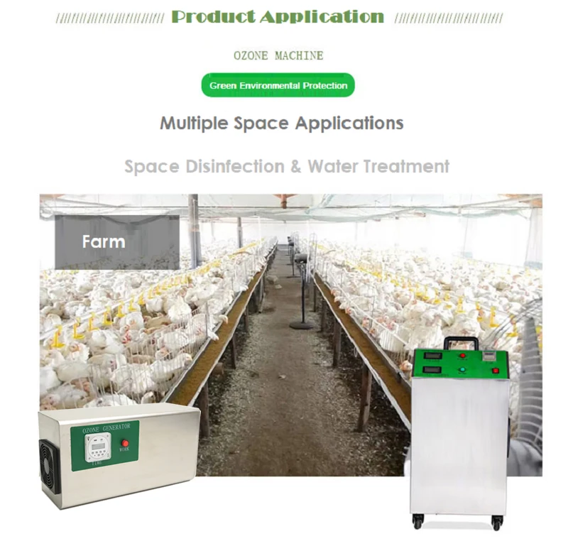 application 01 KM .jpg
