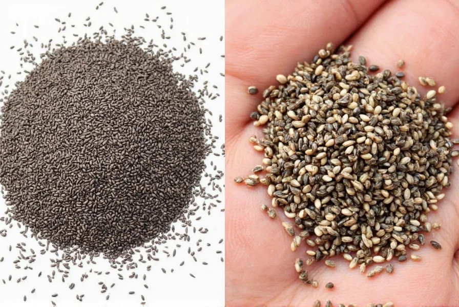 Sesame seed plant