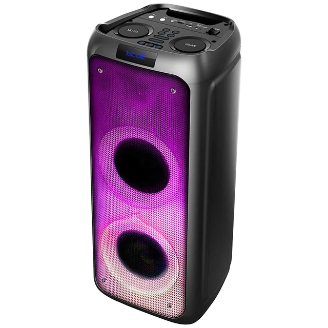 

Private Design Wireless BT Audio Professional Karaoke Party TWS Box Speaker with Flame Effect LED Lights