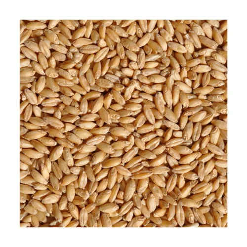 
Russian Winter / Spring Soft / Durum Food / Feed Bulk Wheat Grains 