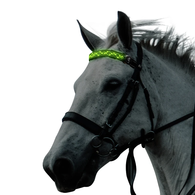 

New private Battery LED horse headband, Red yellow blue green orange white pink