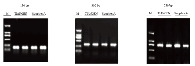 QQ20200604104821.png