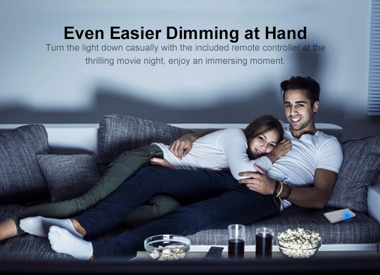 dimmer_04.jpg