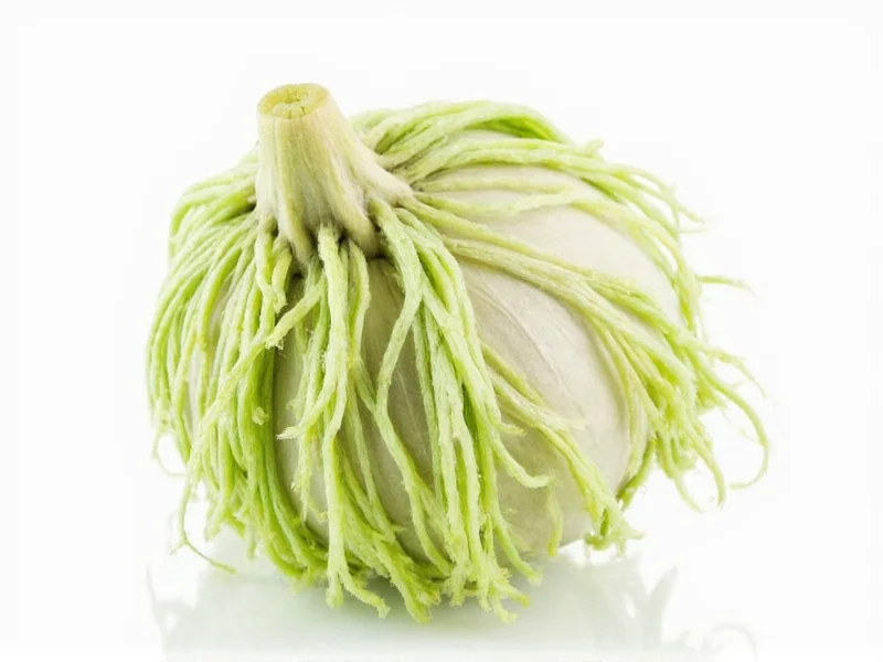 Florence Fennel: Greenish White Licorice-Flavored Bulb Identification