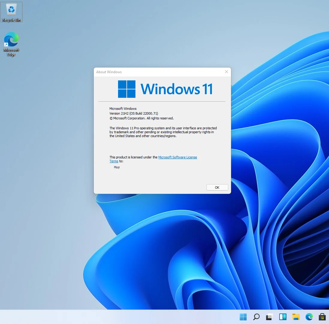 Windows 11 Professional Win 11