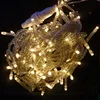 100leds Christmas Garland Wire LED String Lamp Fairy lights For Indoor/outdoor New Year Xmas Wedding Decoration