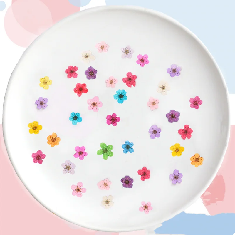 

R456 Dried Press Flowers Diy Material For Phone Case Manicure Decoration Flowers