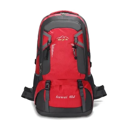 

OEM/ODM Backpack Large-Capacity Storage Hiking Bag For Men And Women Lightweight Travel Bag, Customized color