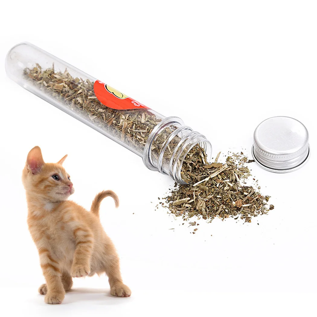 

Wholesale spot plastic bottle catnip cat mint clean teeth pet accessories