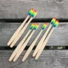 Biodegradable Recycled Bamboo Toothbrush Multi Colors Colorful Bamboo Material Toothbrushes Home Hotel Reusable Tooth Brushes