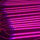 Dc24v 24 ワット 2835 smd 5050 フルスペクトラム赤植物用 led ストリップライト