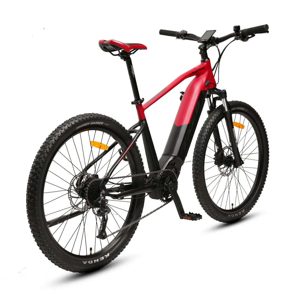 4ah 500w 电动自行车