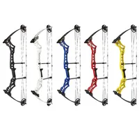 

ZS-M108 Hunting Fishing Competition Compound Bow Set for shooting Archery Arrow 30-55lbs Magnesium Alloy Riser Laminated Limbs