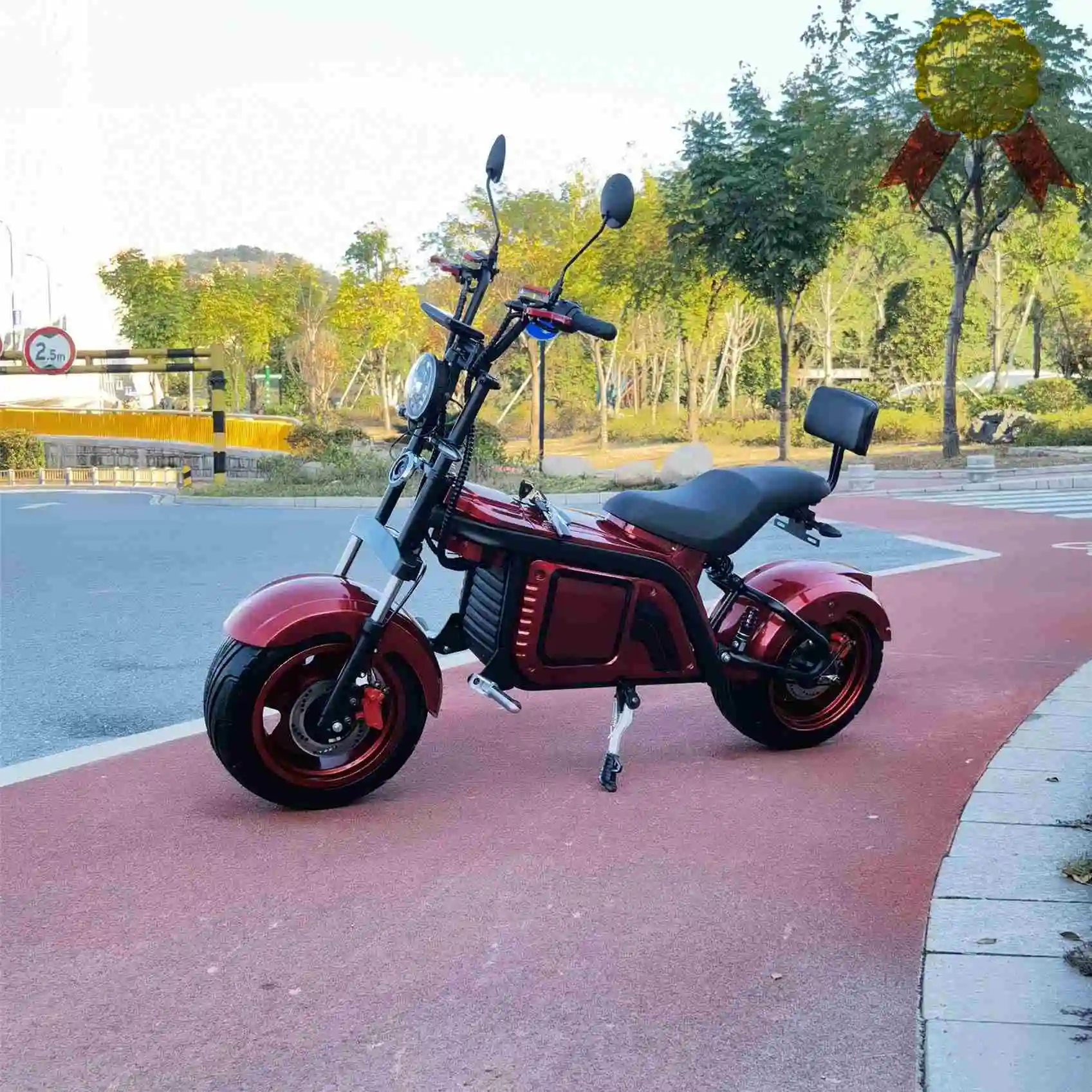 

2022 Free Shipping New Arrival Two Wheels Smart Electric Balance Scooter Self Balancing Motorcycle Electric Scooter