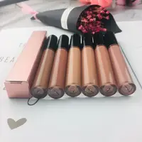 

OEM wholesale private label liquid lipstick pink matte lipgloss waterproof 6 color nude color lip gloss