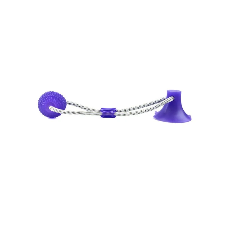 

High Quanlity Multifunctional Pet Ball Interactive Toy