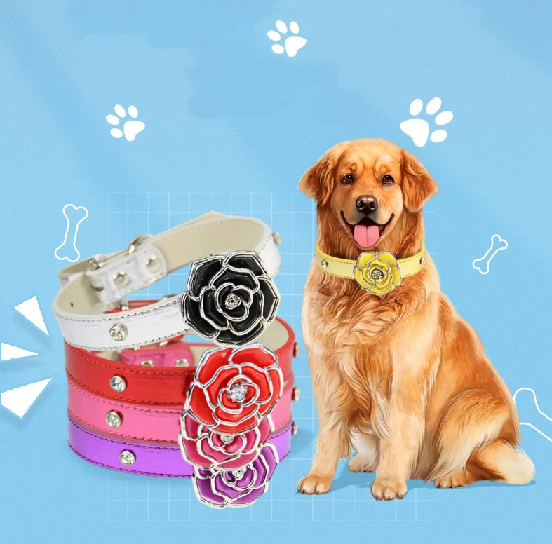 

Wholesale Pet Collars For Dogs Dog Collar Bow Premium Metal Buckle Dog Collar, Choice colors