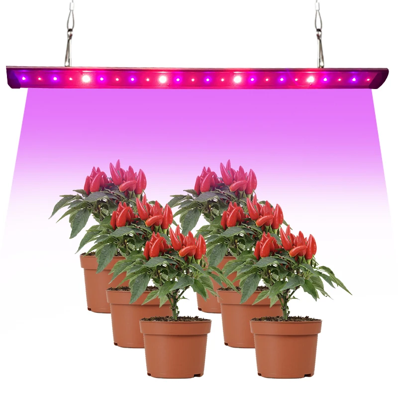 High yield 30 Watts hydroponic red blue spectrum ir uv led grow light with uv far red add on grow light