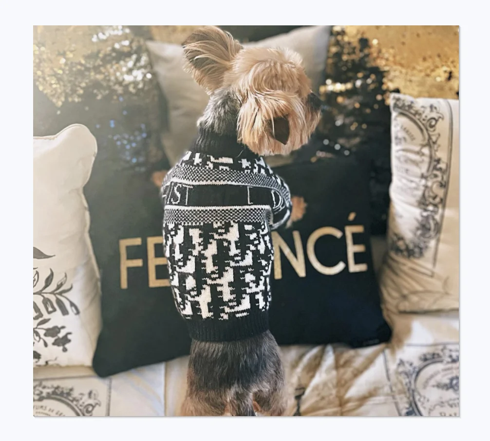 

Luxury Pet Shop Wholesale Black And White Classic Color Brand Dog Sweater Luxury