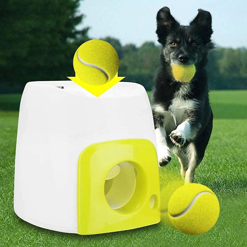 

Wholesale Food Reward Machine For Dogs With Tennis Ball Interactive Fetch, Picture