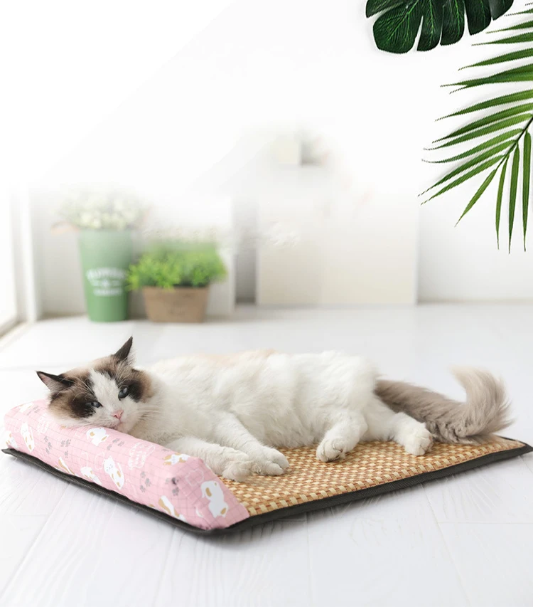 

Dog Training Supplies Dog Play Mat
