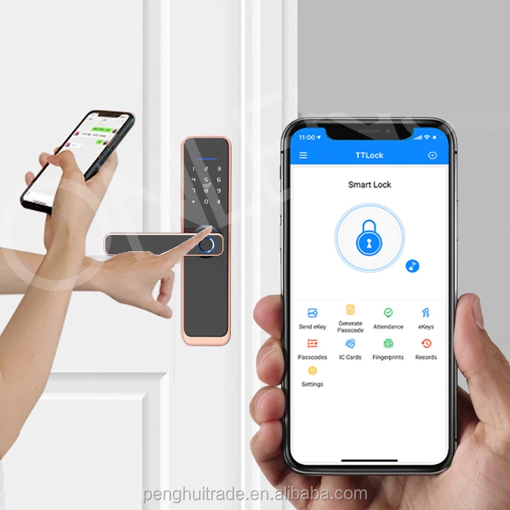 Tuya App Ttlock Apartment Rental House Door Wireless Digital Nfc Fingerprint Electronic Blue