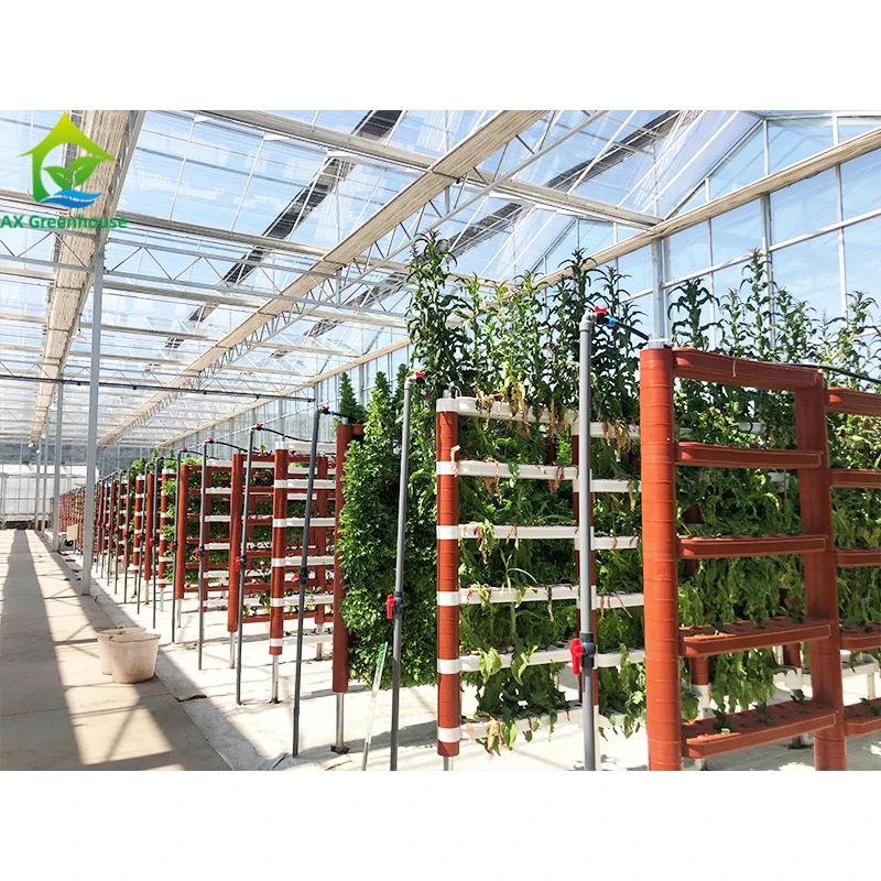 

Vertical farming hydroponic growing system