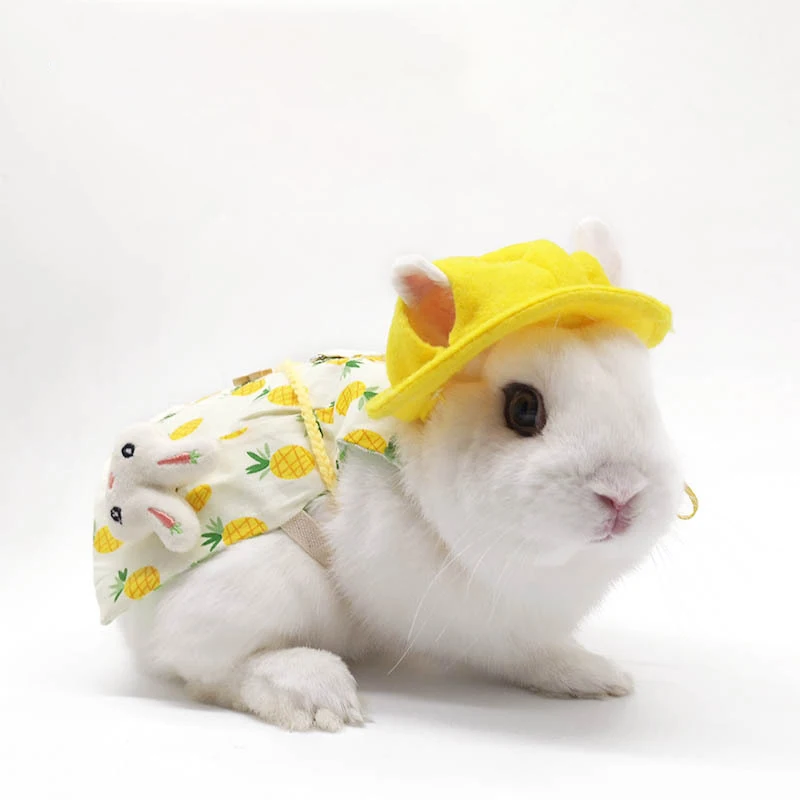 

Wholesale Pet Clothes For Rabbits Decoration Costume Hat Guinea Pig Hamster Accessories